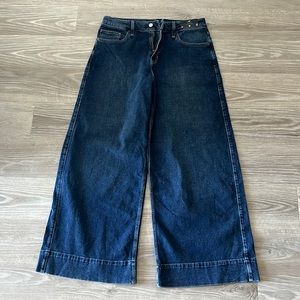 NWT Hollister Wide Leg Jeans
